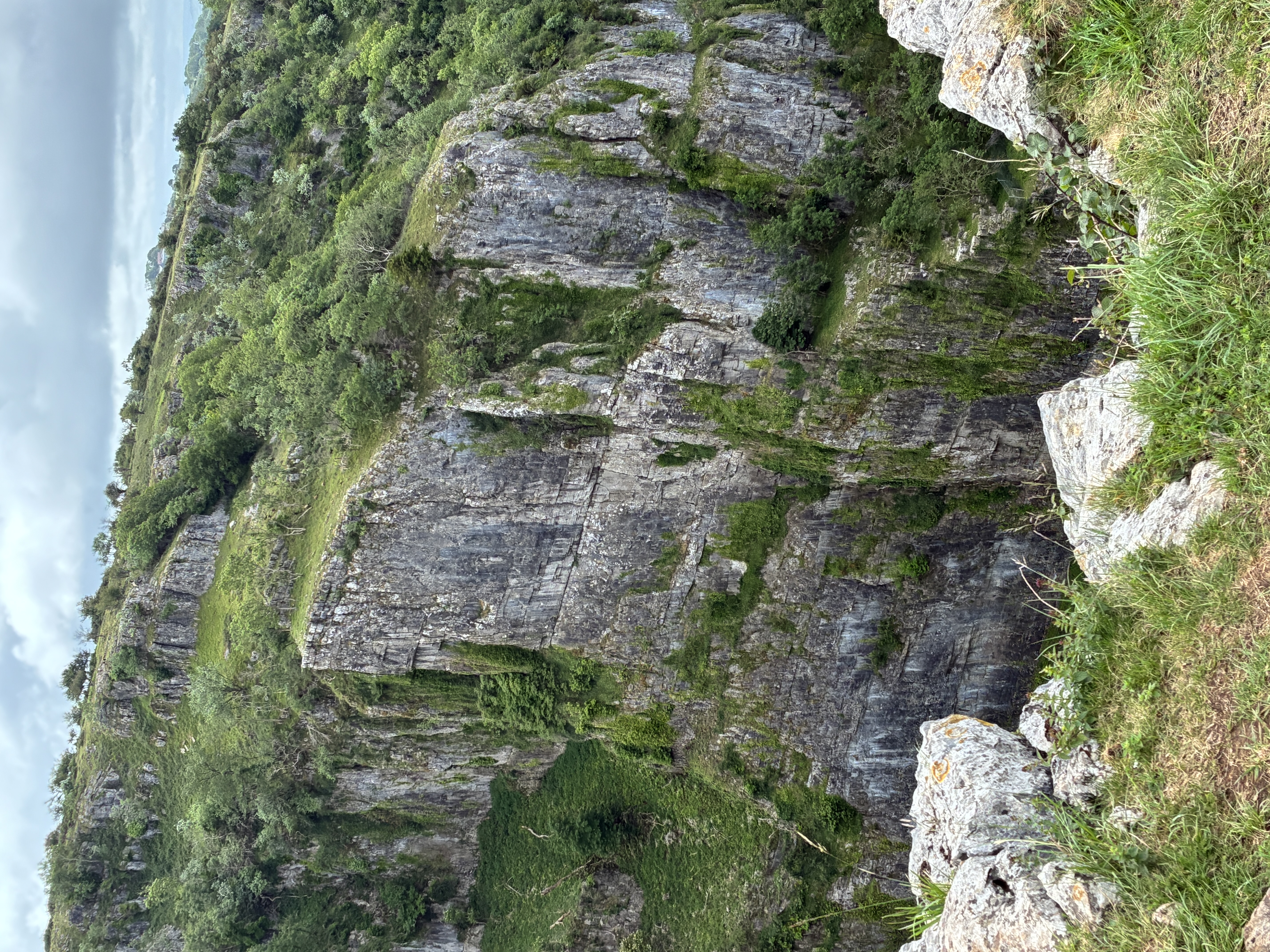Bild von Cheddar Gorge 2